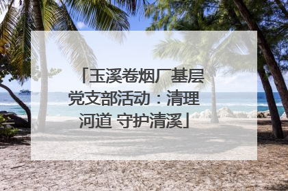 玉溪卷烟厂基层党支部活动：清理河道 守护清溪