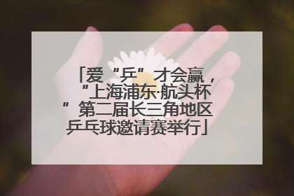 爱“乒”才会赢，“上海浦东·航头杯”第二届长三角地区乒乓球邀请赛举行