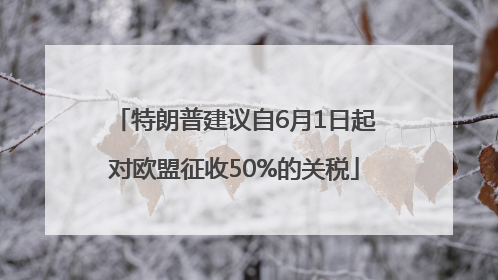 特朗普建议自6月1日起对欧盟征收50%的关税