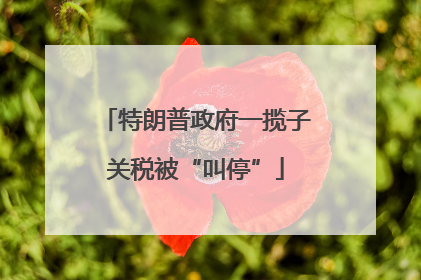 特朗普政府一揽子关税被“叫停”