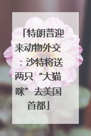 特朗普迎来动物外交：沙特将送两只“大猫咪”去美国首都