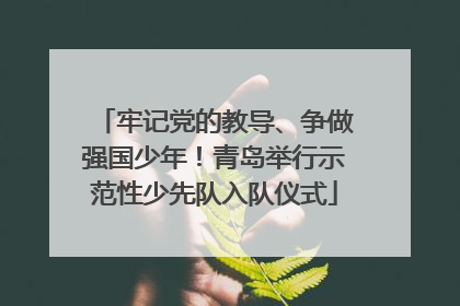 牢记党的教导、争做强国少年！青岛举行示范性少先队入队仪式