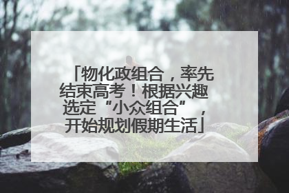 物化政组合，率先结束高考！根据兴趣选定“小众组合”，开始规划假期生活