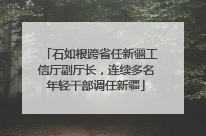 石如根跨省任新疆工信厅副厅长，连续多名年轻干部调任新疆