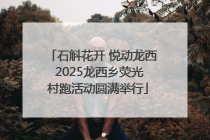 石斛花开 悦动龙西 2025龙西乡荧光村跑活动圆满举行