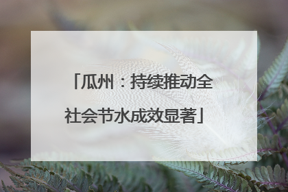 瓜州：持续推动全社会节水成效显著