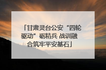甘肃灵台公安“四轮驱动”砺精兵 战训融合筑牢平安基石