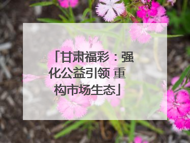 甘肃福彩：强化公益引领 重构市场生态