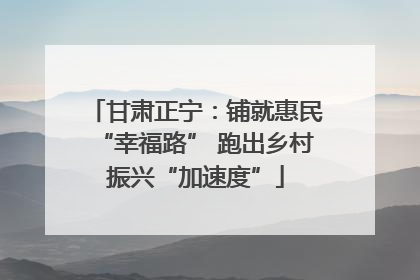 甘肃正宁：铺就惠民“幸福路” 跑出乡村振兴“加速度”