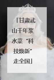 甘肃武山千年浆水菜“科技焕新”走全国