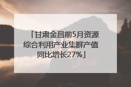 甘肃金昌前5月资源综合利用产业集群产值同比增长27%