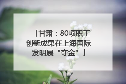 甘肃：80项职工创新成果在上海国际发明展“夺金”