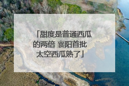 甜度是普通西瓜的两倍 襄阳首批太空西瓜熟了