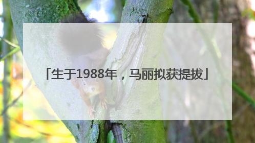 生于1988年，马丽拟获提拔