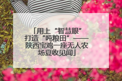用上“智慧眼” 打造“吨粮田”——陕西宝鸡一座无人农场夏收见闻