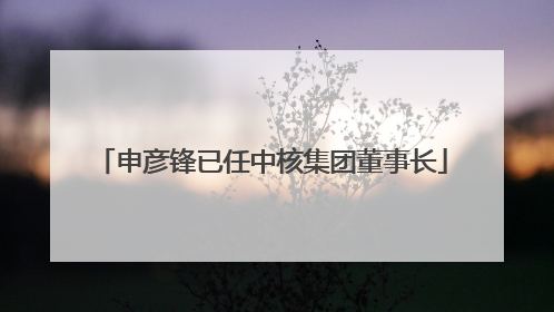 申彦锋已任中核集团董事长