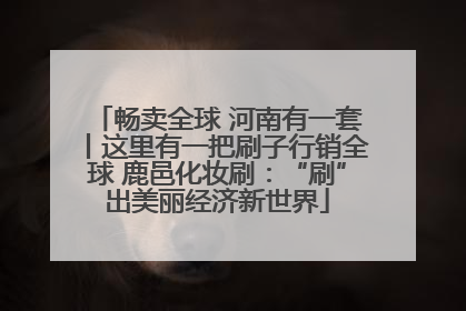 畅卖全球 河南有一套丨这里有一把刷子行销全球 鹿邑化妆刷：“刷”出美丽经济新世界