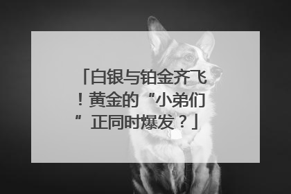 白银与铂金齐飞！黄金的“小弟们”正同时爆发？