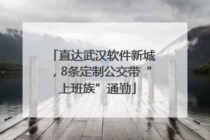 直达武汉软件新城，8条定制公交带“上班族”通勤