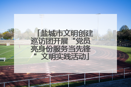 盐城市文明创建巡访团开展“党员亮身份服务当先锋”文明实践活动