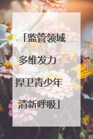 监管领域多维发力 捍卫青少年清新呼吸