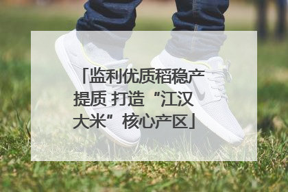 监利优质稻稳产提质 打造“江汉大米”核心产区