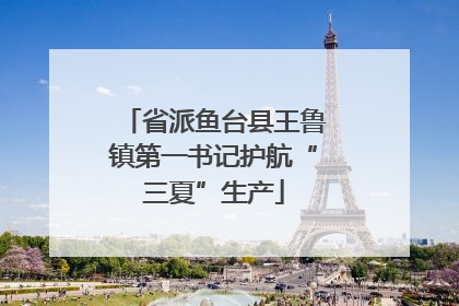 省派鱼台县王鲁镇第一书记护航“三夏”生产