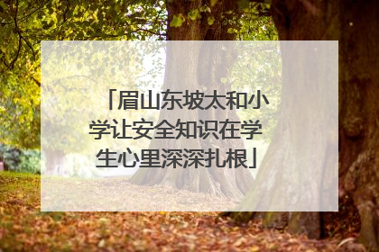 眉山东坡太和小学让安全知识在学生心里深深扎根