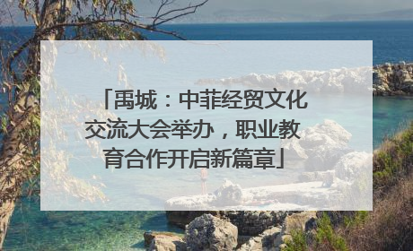 禹城：中菲经贸文化交流大会举办，职业教育合作开启新篇章