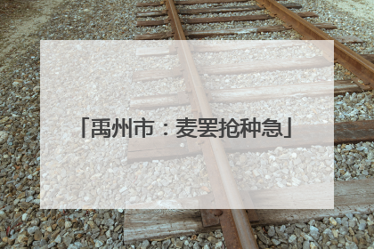 禹州市：麦罢抢种急