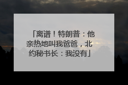 离谱！特朗普：他亲热地叫我爸爸，北约秘书长：我没有