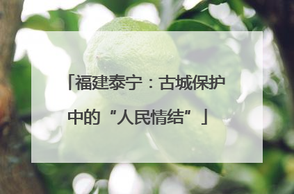 福建泰宁：古城保护中的“人民情结”