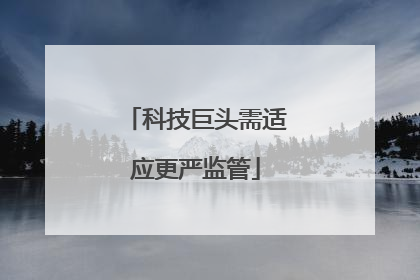 科技巨头需适应更严监管