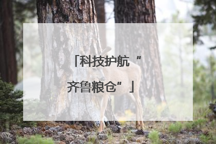 科技护航“齐鲁粮仓”