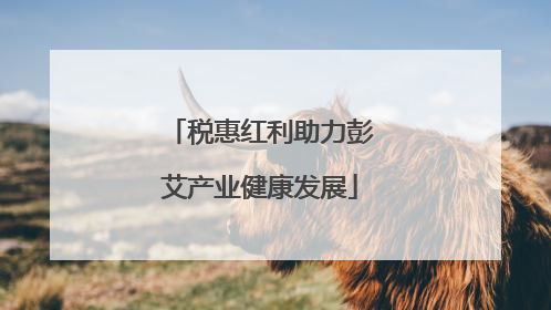 税惠红利助力彭艾产业健康发展