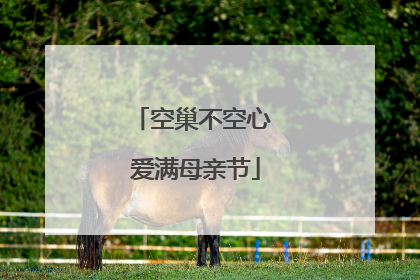 空巢不空心 爱满母亲节