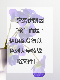 突袭伊朗因“核”而起：伊朗称获得以色列大量核战略文件