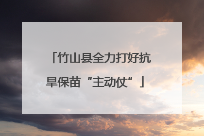竹山县全力打好抗旱保苗“主动仗”
