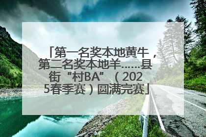 第一名奖本地黄牛，第二名奖本地羊……县街“村BA”（2025春季赛）圆满完赛
