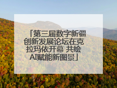 第三届数字新疆创新发展论坛在克拉玛依开幕 共绘AI赋能新图景