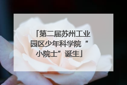 第二届苏州工业园区少年科学院“小院士”诞生