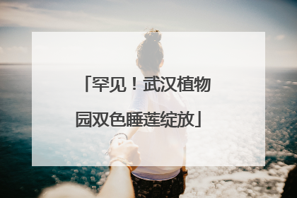 罕见！武汉植物园双色睡莲绽放