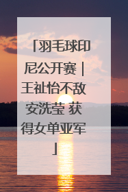 羽毛球印尼公开赛｜王祉怡不敌安洗莹 获得女单亚军