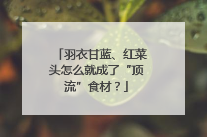 羽衣甘蓝、红菜头怎么就成了“顶流”食材？