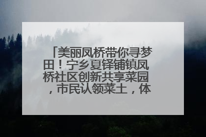 美丽凤桥带你寻梦田！宁乡夏铎铺镇凤桥社区创新共享菜园，市民认领菜土，体验耕种收获乐趣