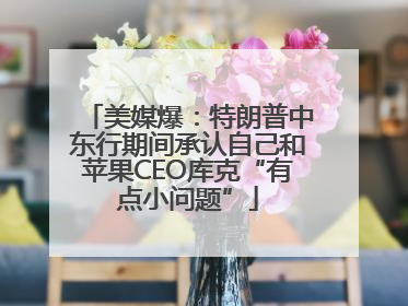 美媒爆：特朗普中东行期间承认自己和苹果CEO库克“有点小问题”