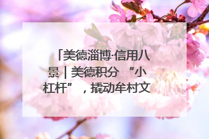 美德淄博·信用八景｜美德积分 “小杠杆”，撬动牟村文明 “大能量”