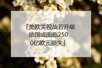 美欧关税战若升级 德国或面临2500亿欧元损失