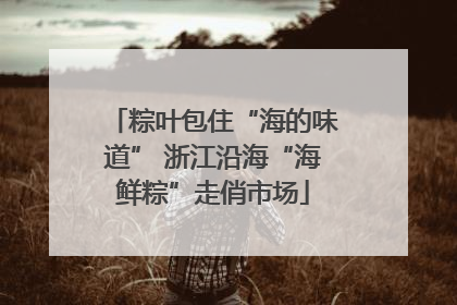 粽叶包住“海的味道” 浙江沿海“海鲜粽”走俏市场