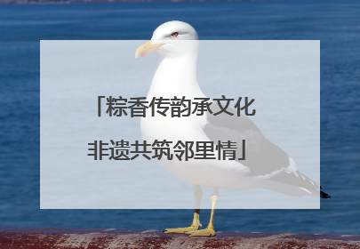 粽香传韵承文化 非遗共筑邻里情